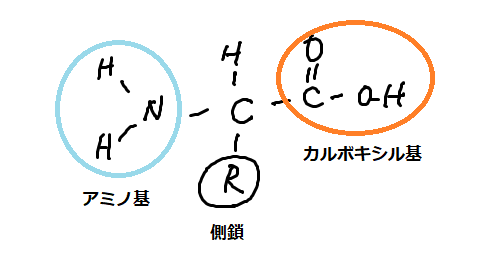 2023年版】臨床検査技師国家試験にオススメな参考書5選｜SAI-LABO